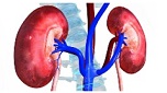 Chữa khỏi suy thận độ 1 chỉ sau 3 tháng kiên trì áp dụng cách này