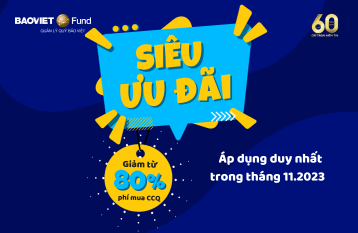 Display Ads - Bao Viet Fund